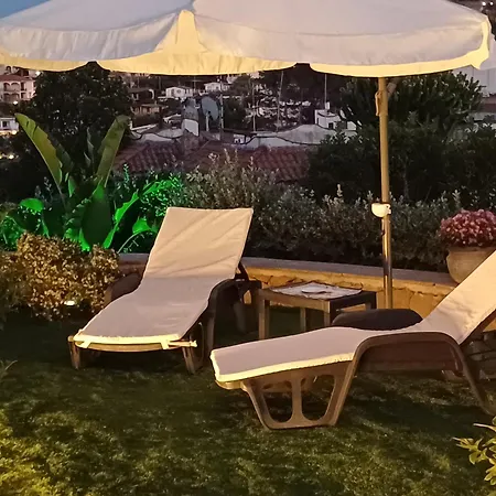 Casa Maya * ברוקולי